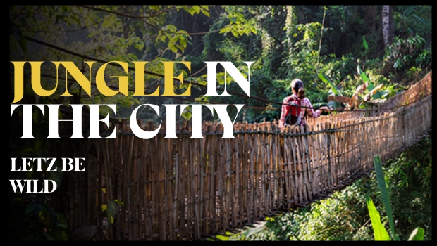 Jungle in the City is back... with a spectacular suspension bridge!