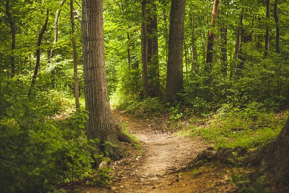 Guided Tour: Family Walk on the Biodiversity Trail of Arlon