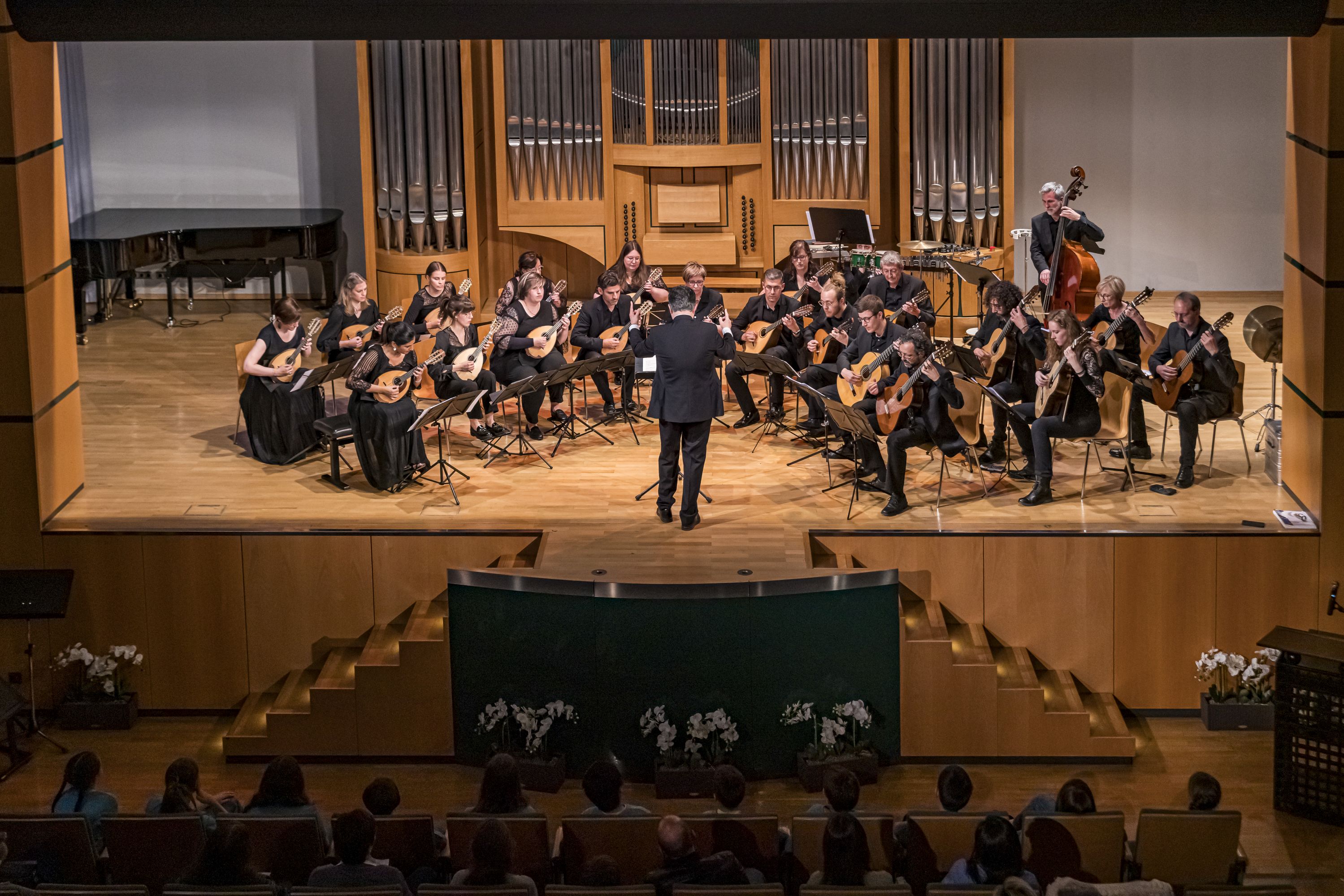 Plectrum Ensemble