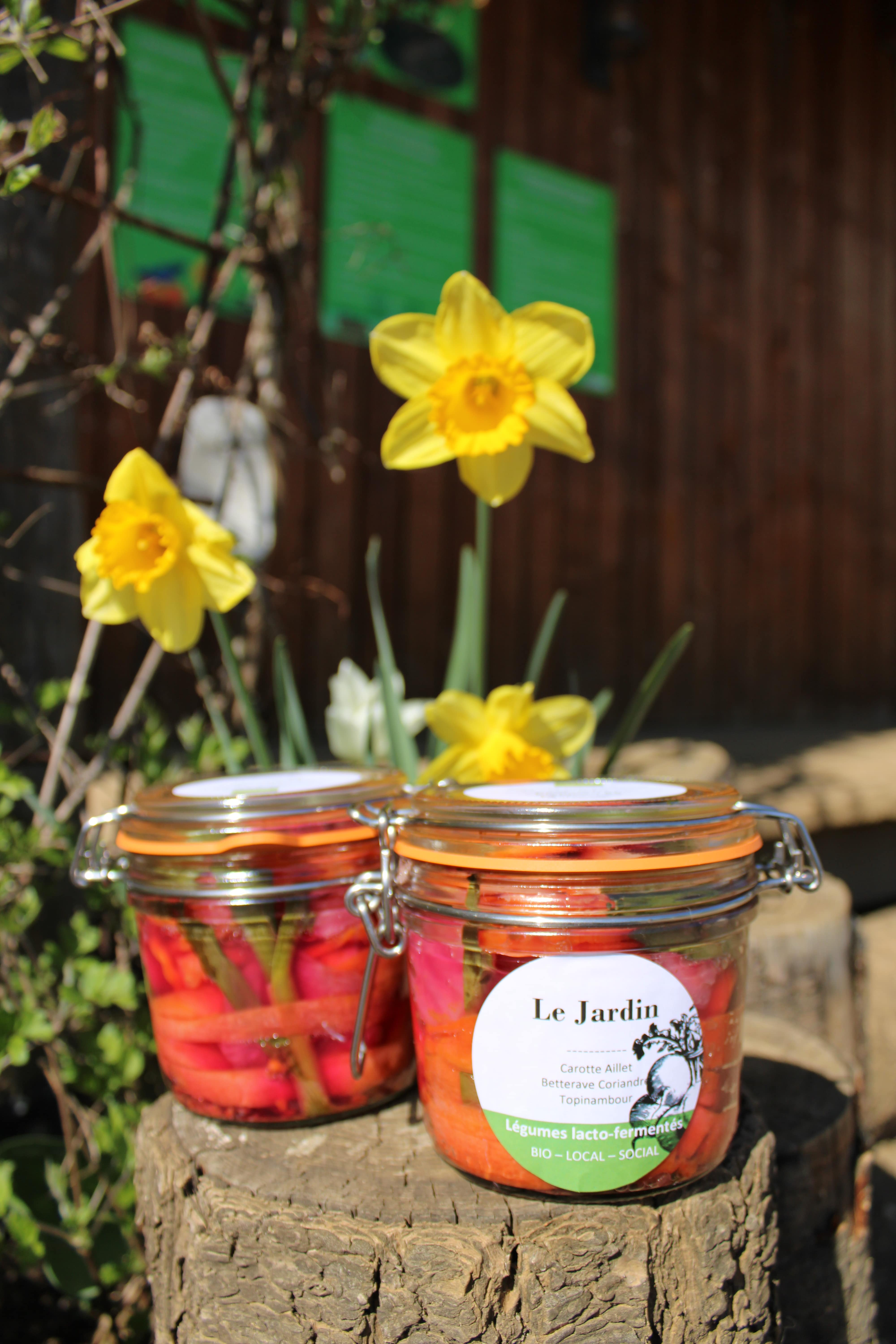 Enrich Your Daily Life: Practical Lacto-Fermentation Workshop