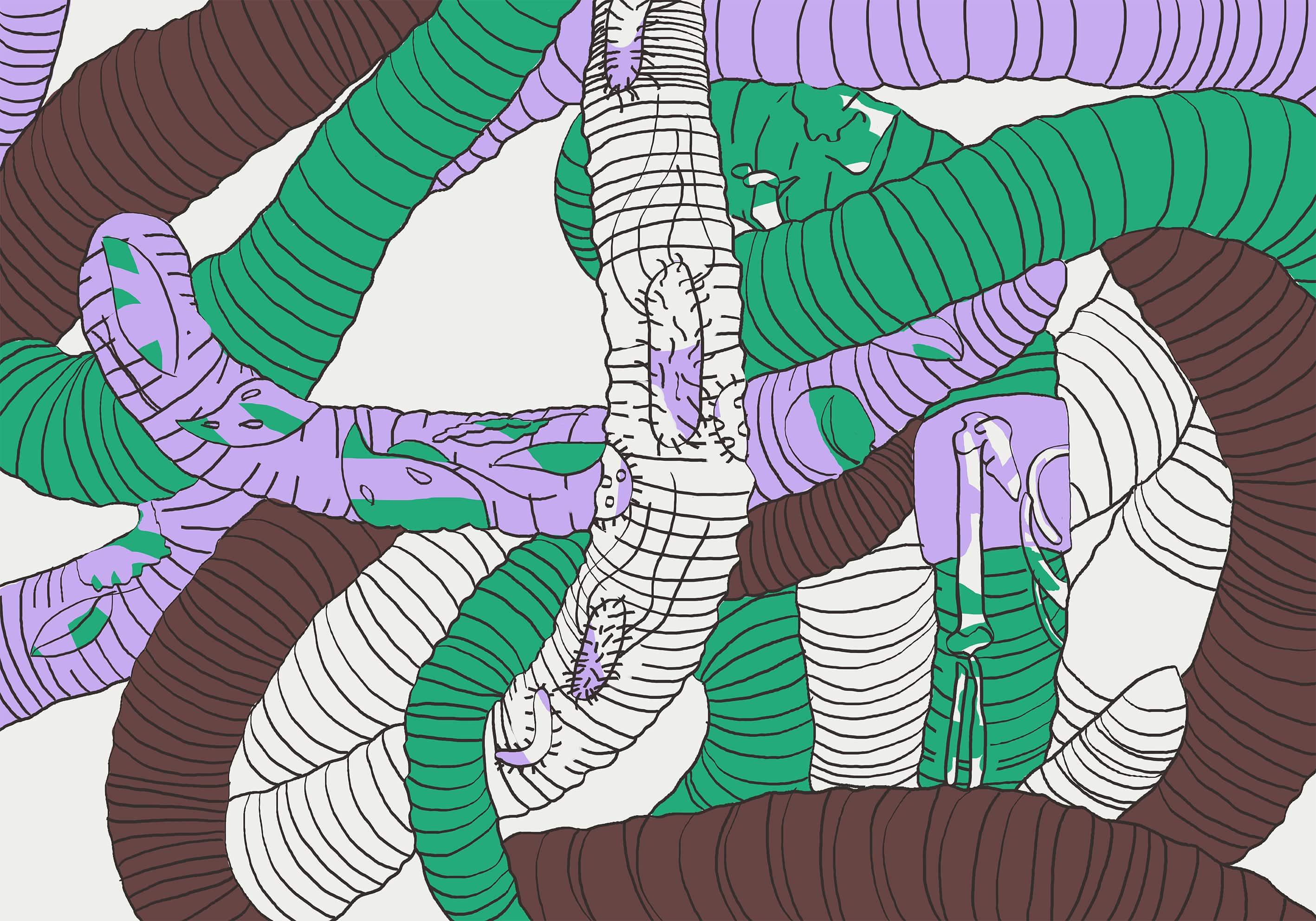 Soil & Soul Sundays #8