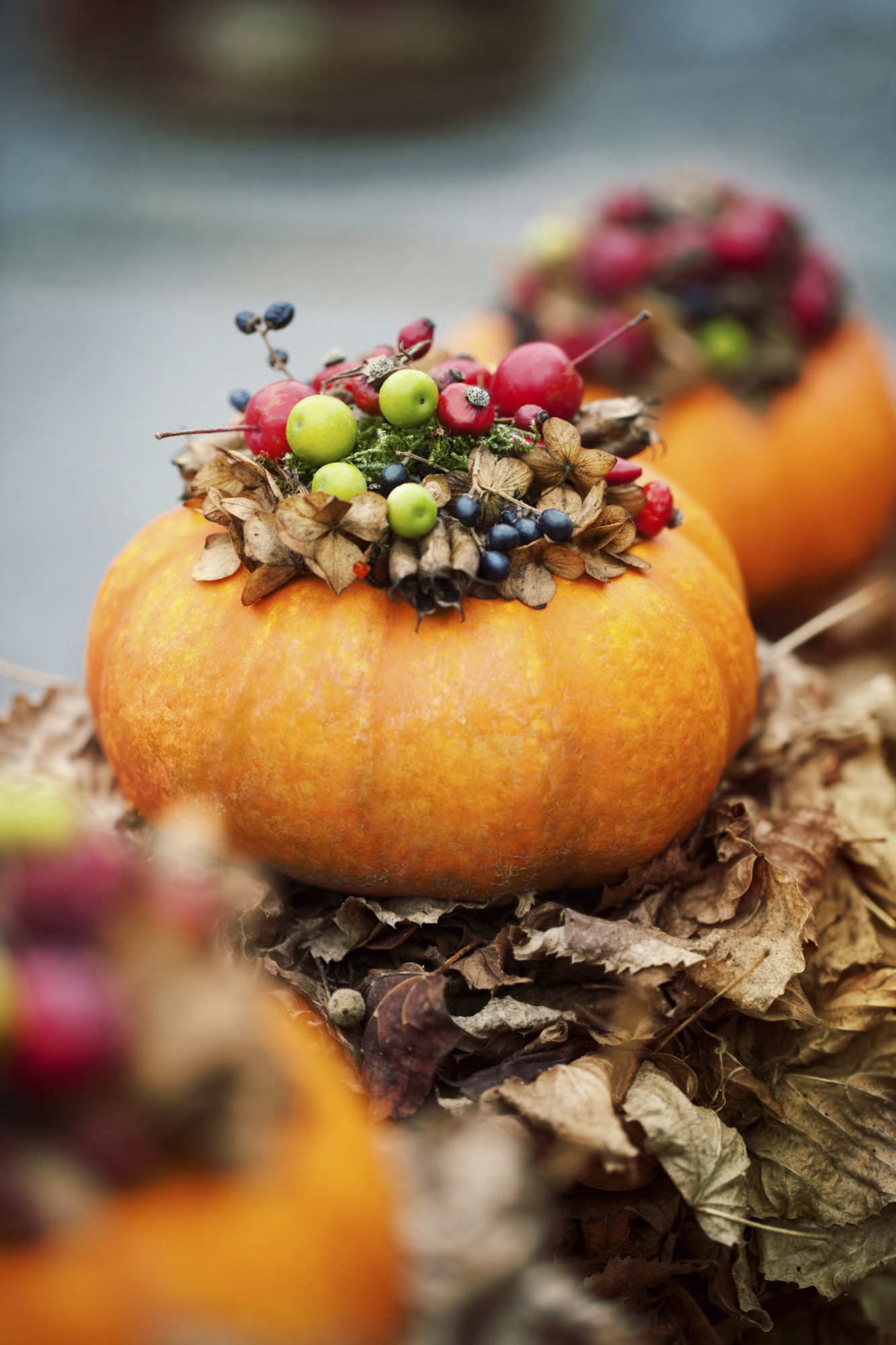 Autumn Market