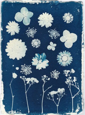 Villa Beach: The Blue Magic: Family Cyanotype