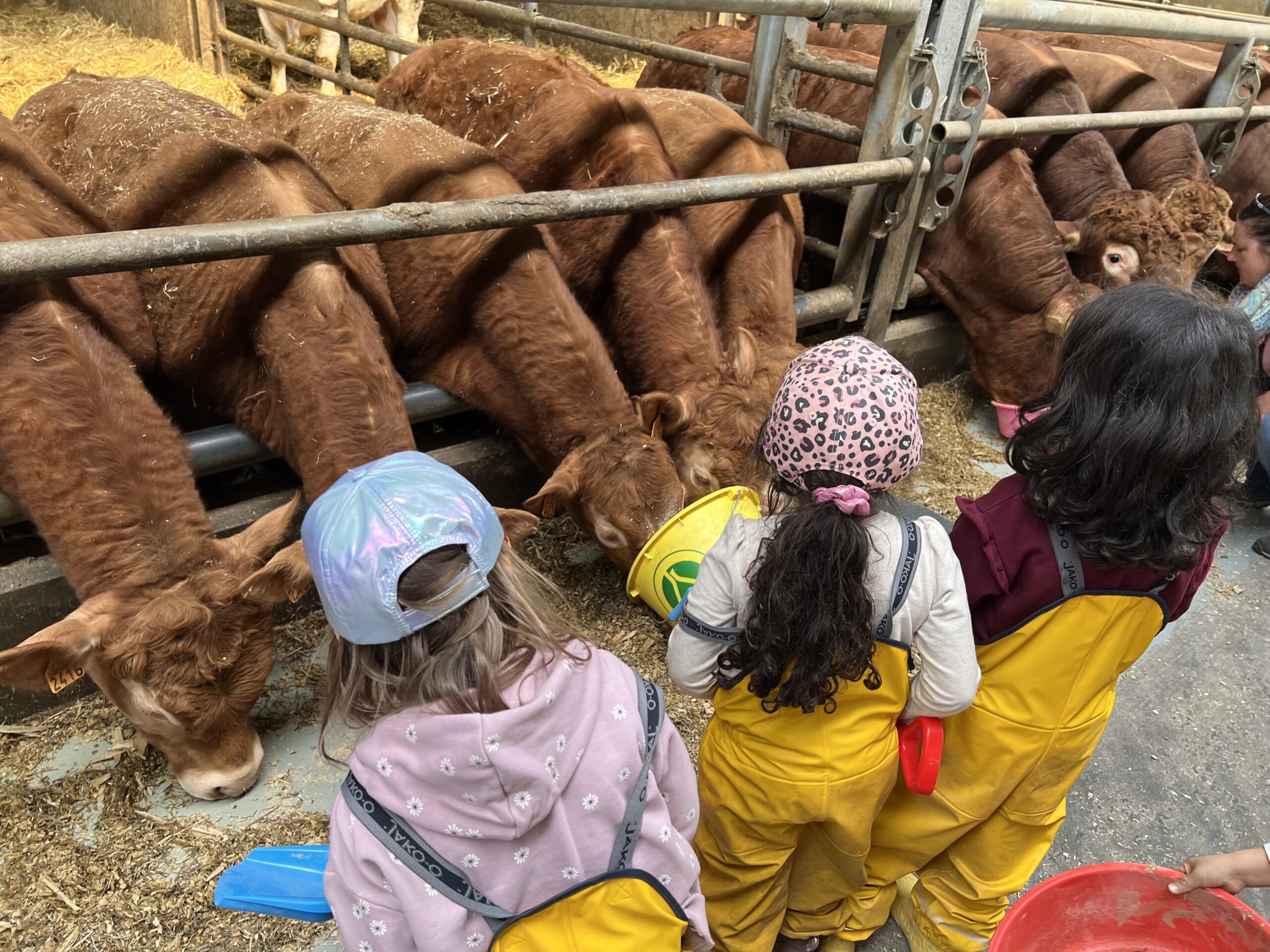 Farm Adventure: Feed the animals and bake delicious pastries.