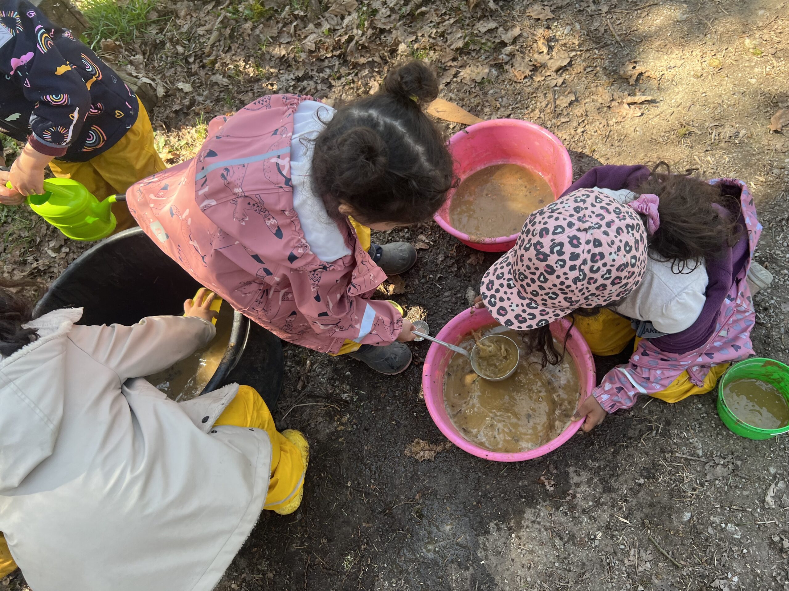 Adventure at the Farm: An Afternoon Full of Discoveries