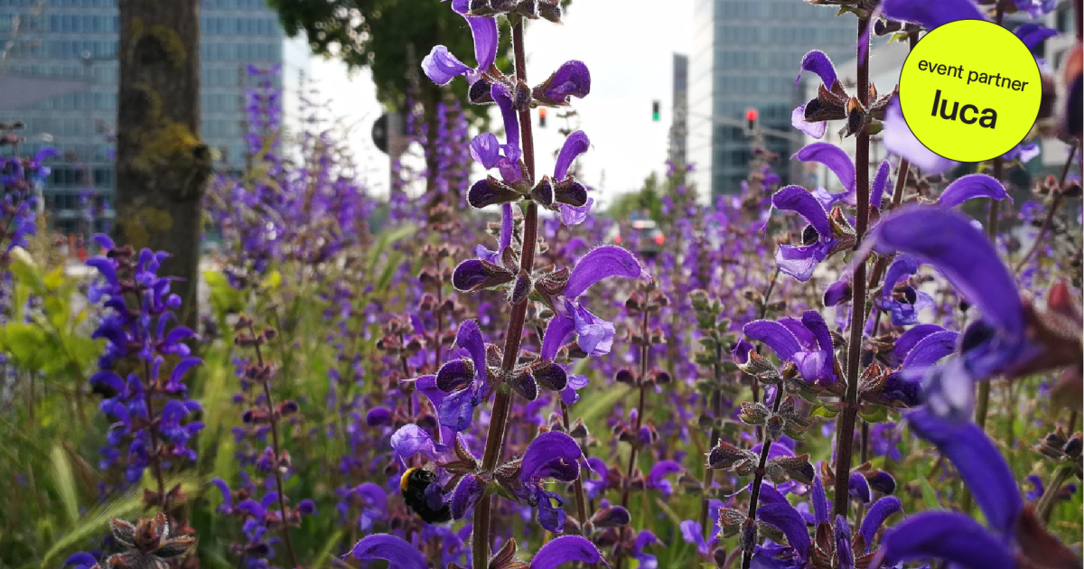 Promenades urbaines : Circuit 1