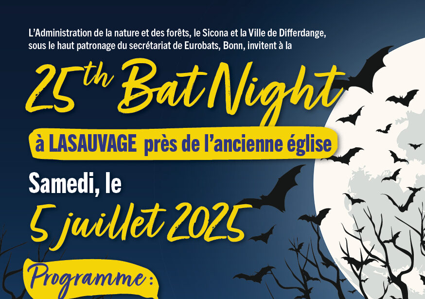 25. Bat Night