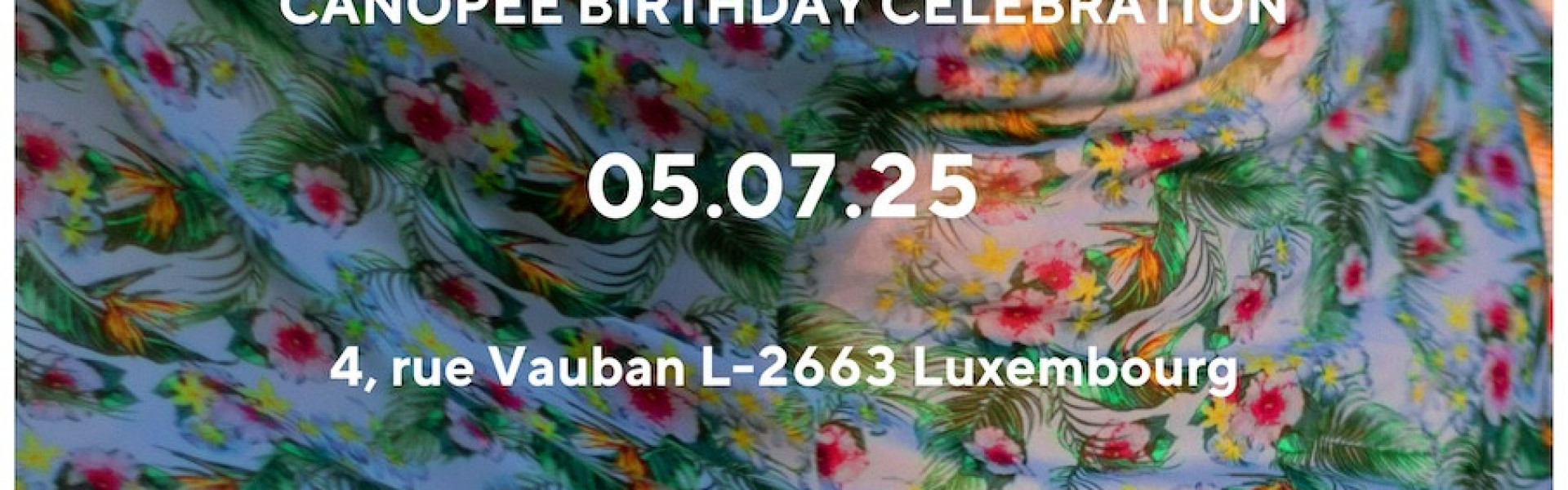 Fête d'anniversaire : 10 ans de Canopée !
