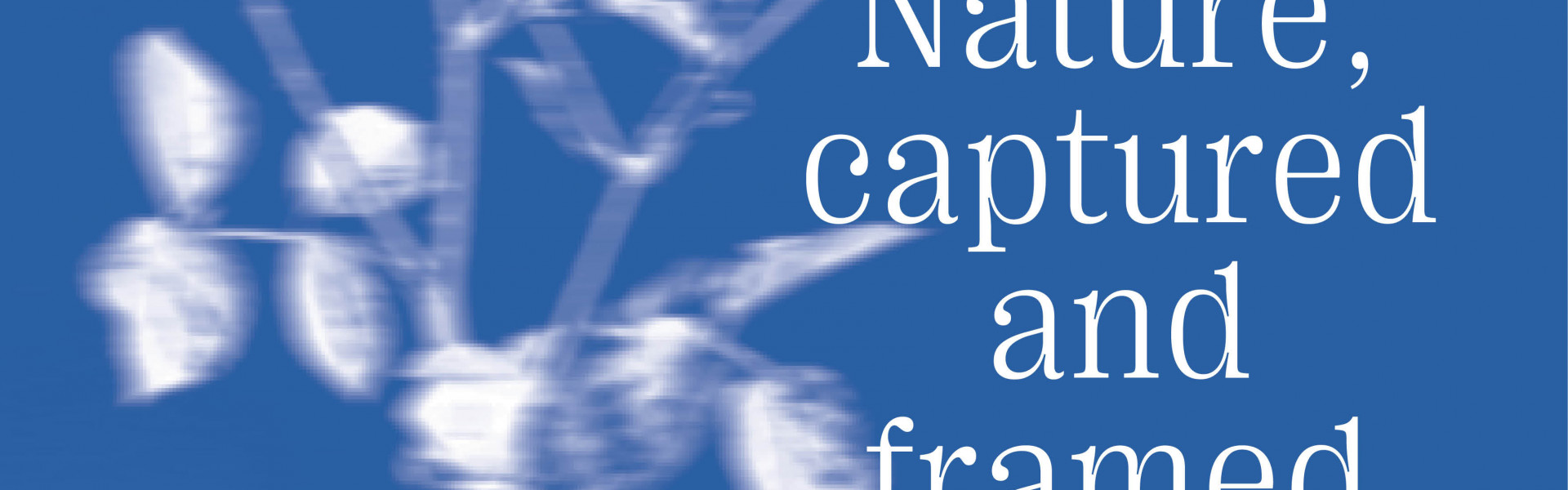 La nature, captée et encadrée