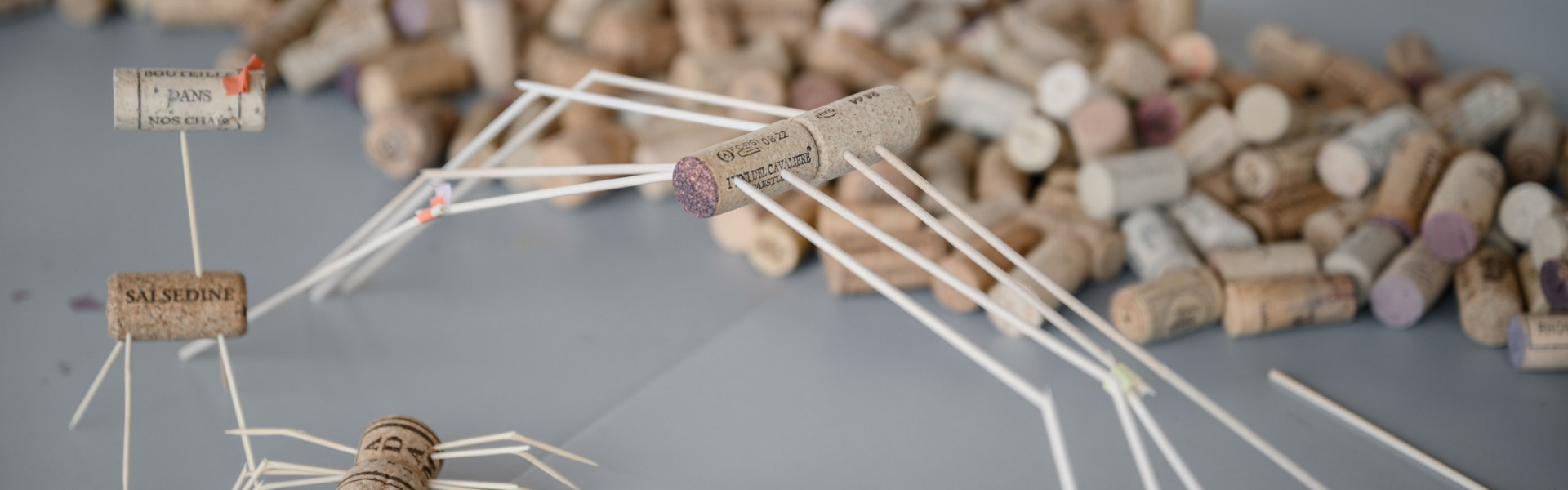 Stay and Play: Cork Edition
