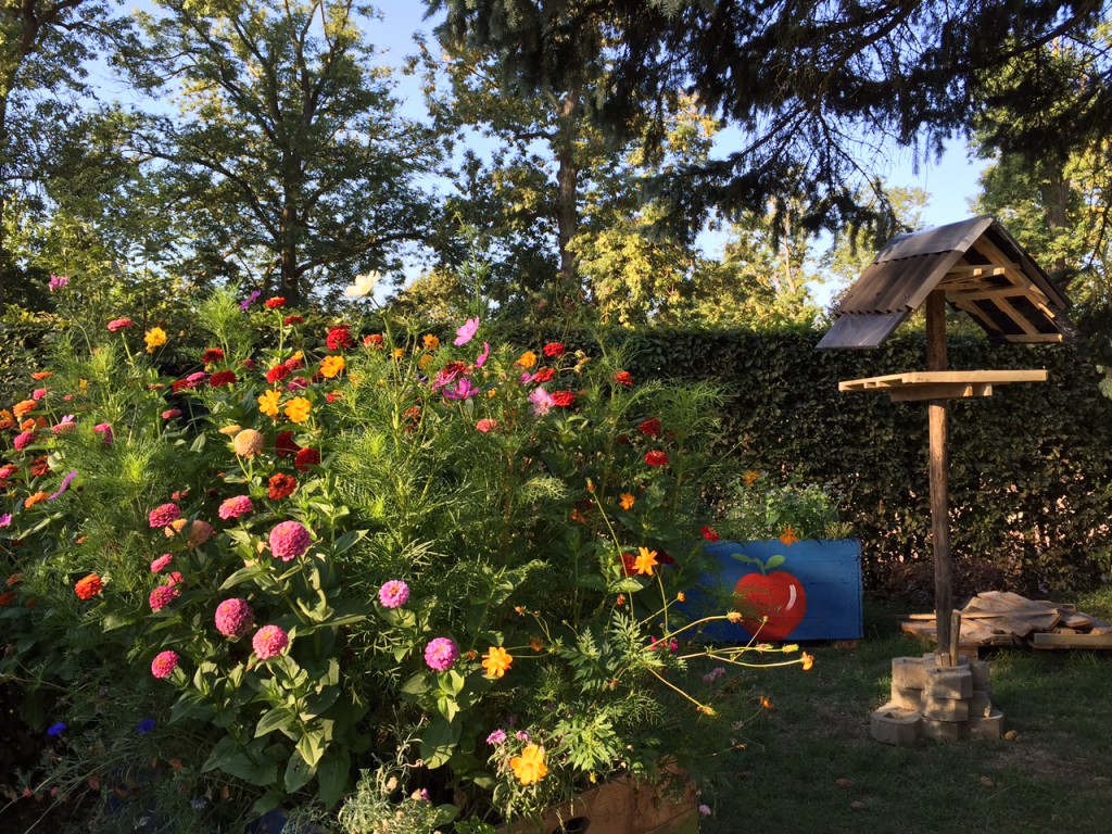Morning Coffee at the Community Garden