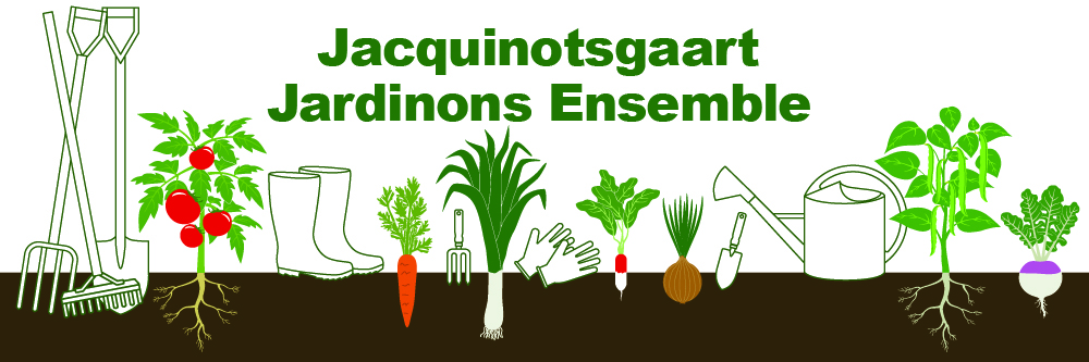 Visit of the Cultures and Workshops at Jacquinotsgaart