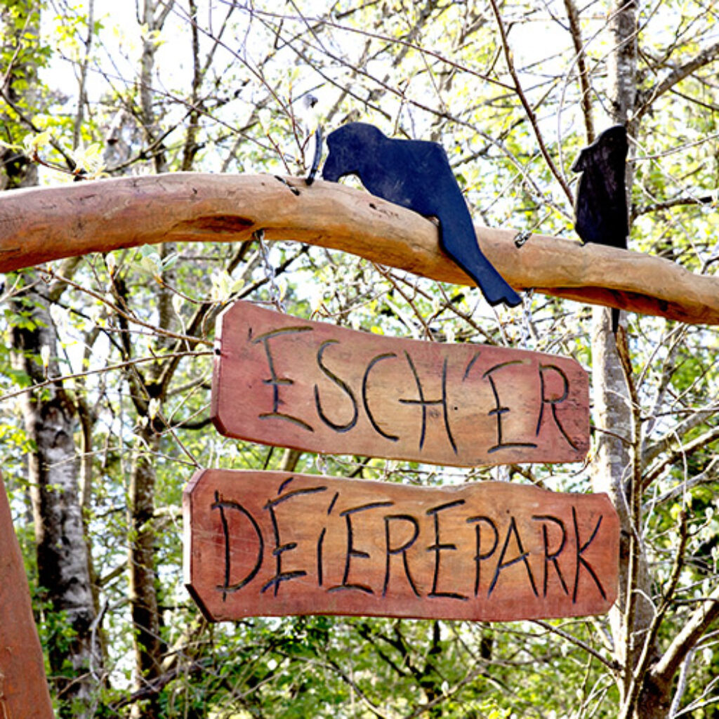 Visite : Escher Déierepark