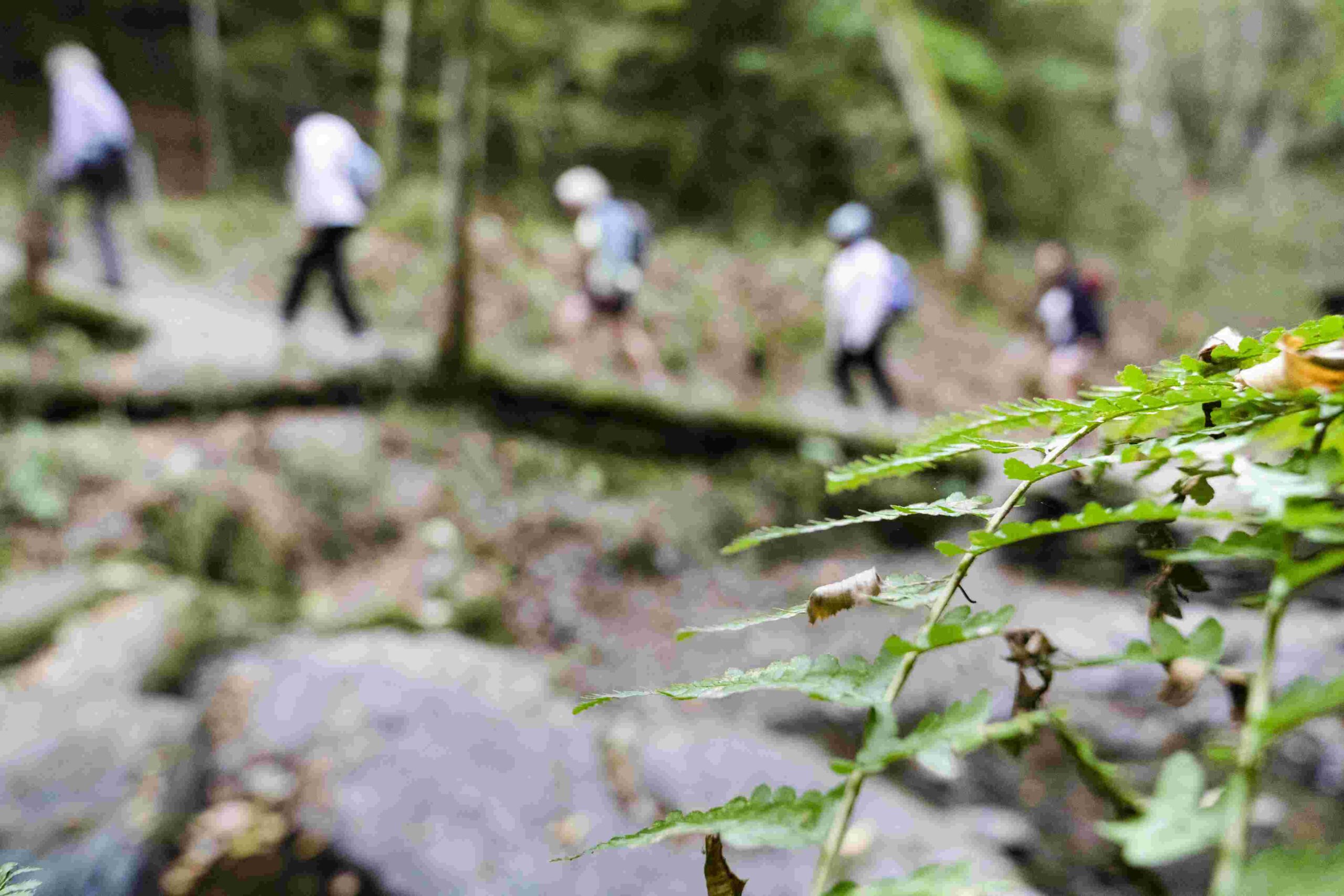 Natura 2000 : Balade de pleine conscience