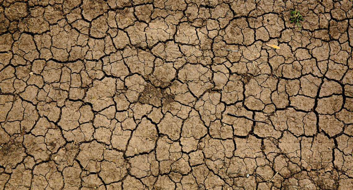 Workshop 'Climate Fresk'