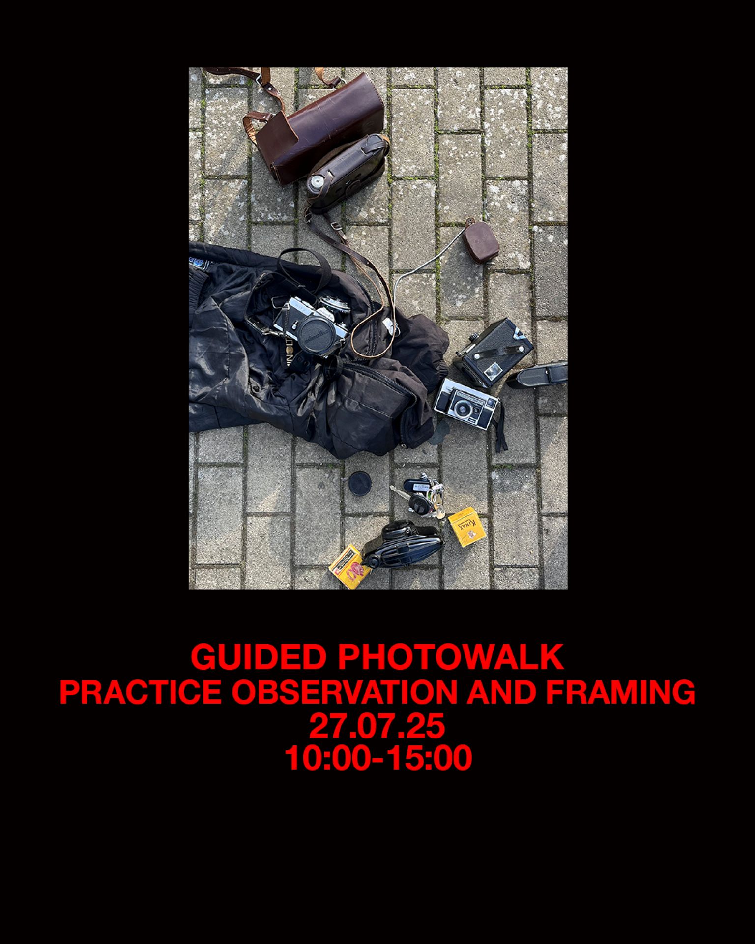 Promenade photographique guidée, pratique de l'observation et cadrage