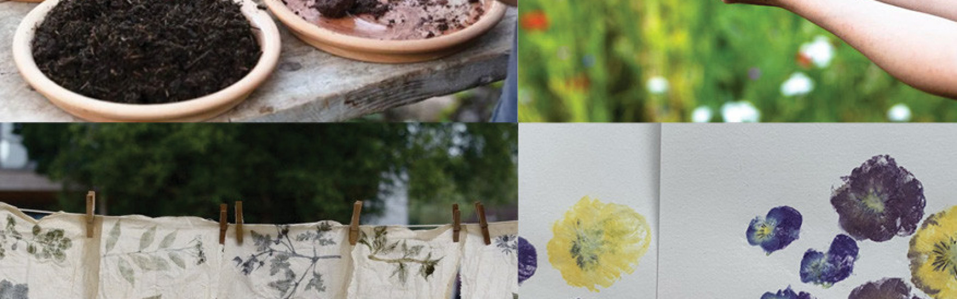 Atelier Seed bombs et impressions végétales