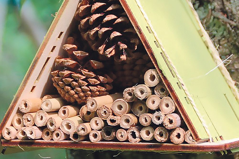 Activité fabrication de petits hôtels à insectes à emporter