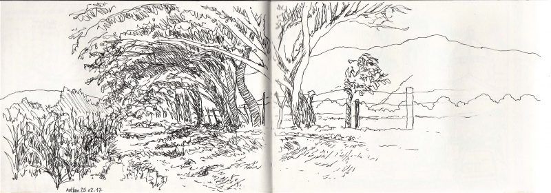 Atelier initiation au croquis