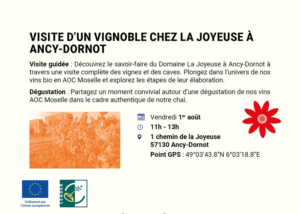 Visite du vignoble de La Joyeuse