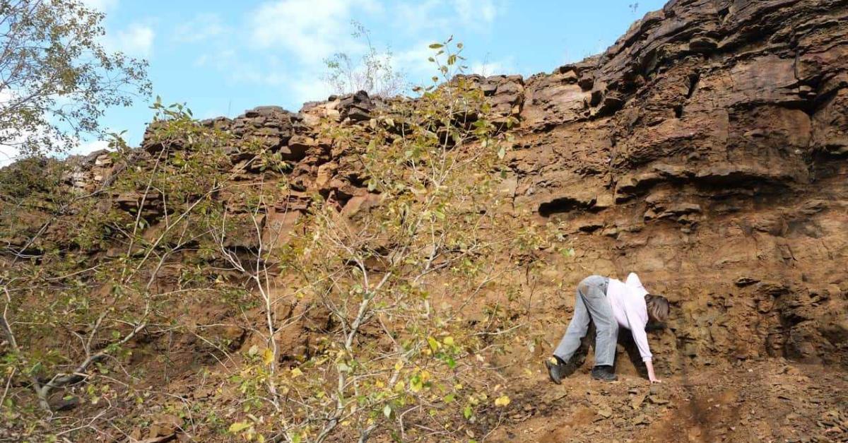 Danser les chansons des paysages corporels