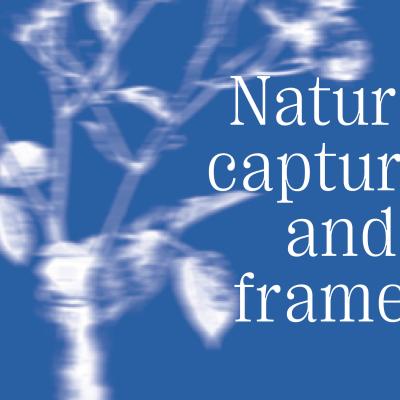 Nature, captured and framed