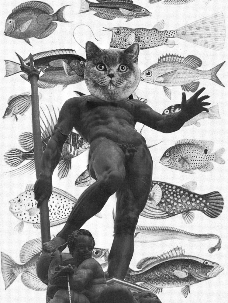 Projet Estival : Atelier avec Léa Valet : Bestiaire de Poche
