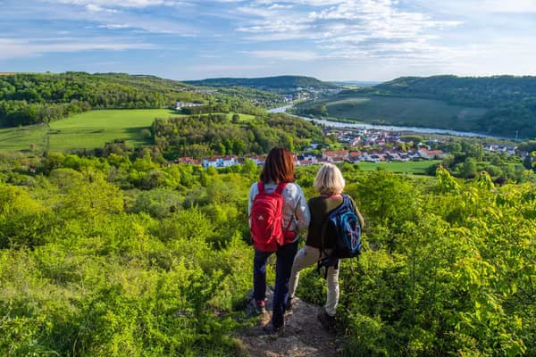 Randonnée dans la région de la Moselle (Adaptée aux chiens)