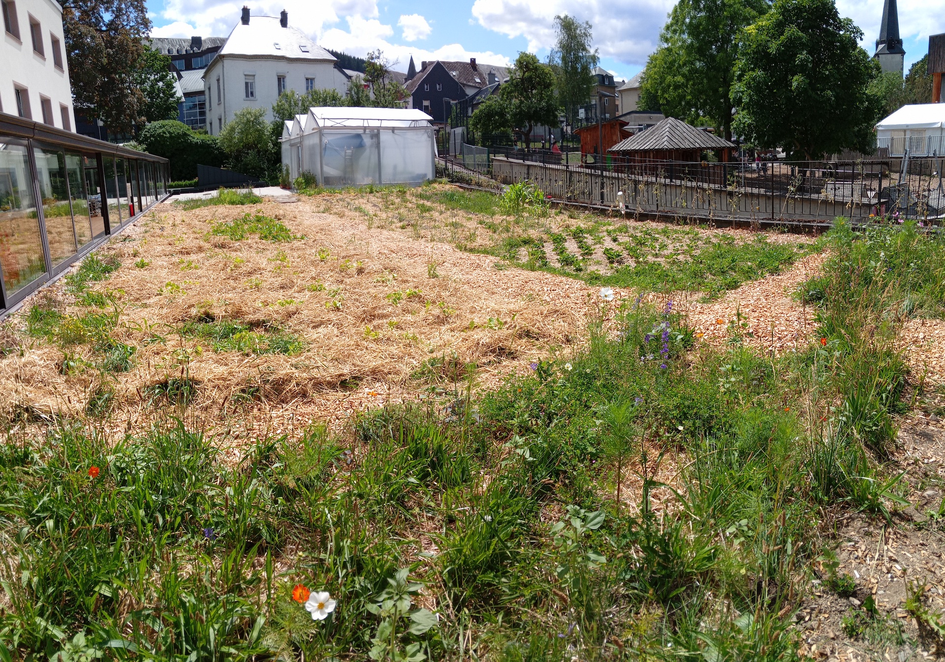 Visit of the rooftop greenhouse - Urban agriculture