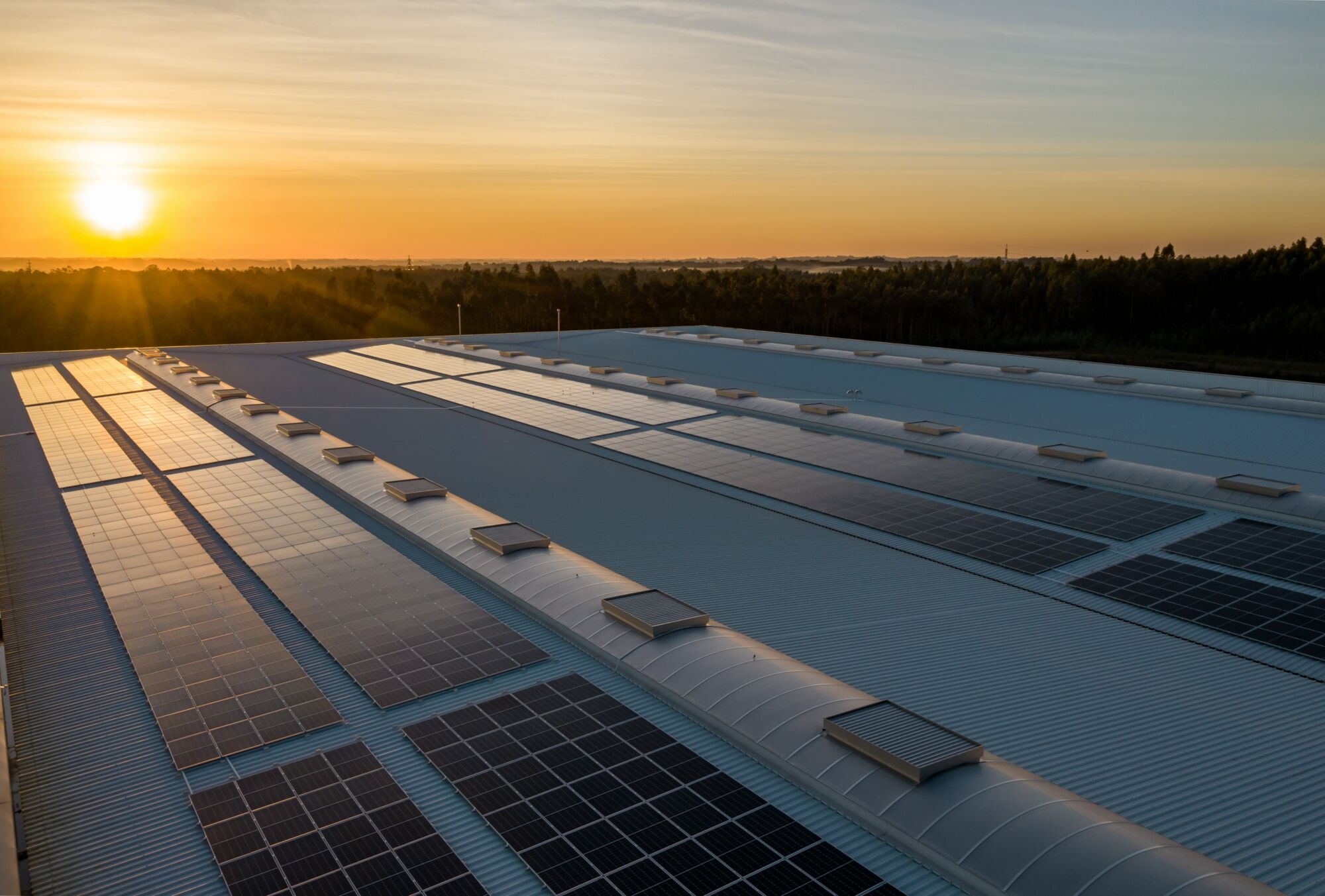 Conference: Sharing Electricity in the Miselerland