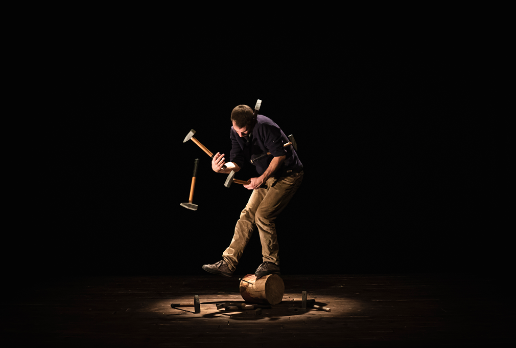 Sawdust Symphony