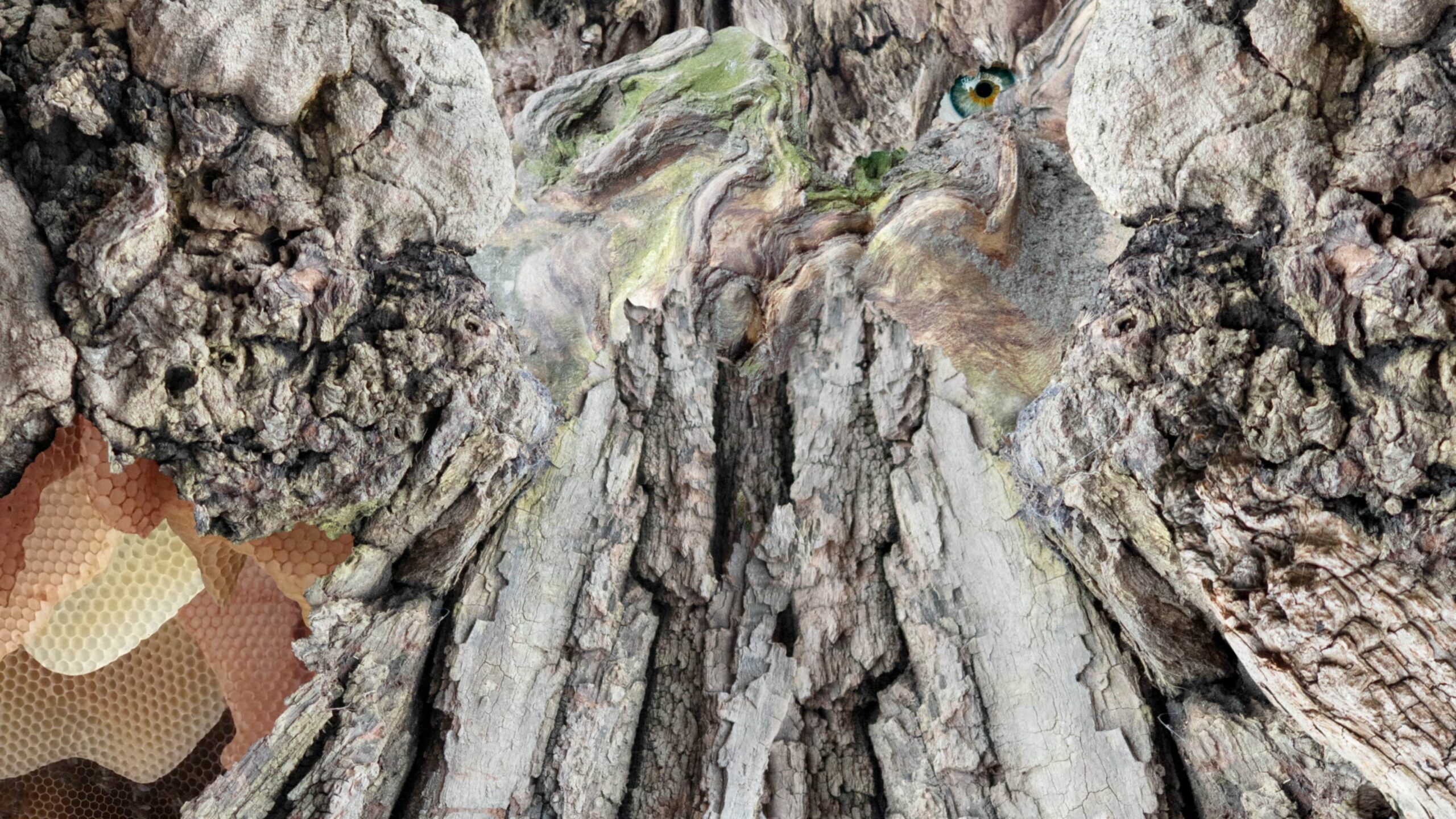 The Great Tree Piece