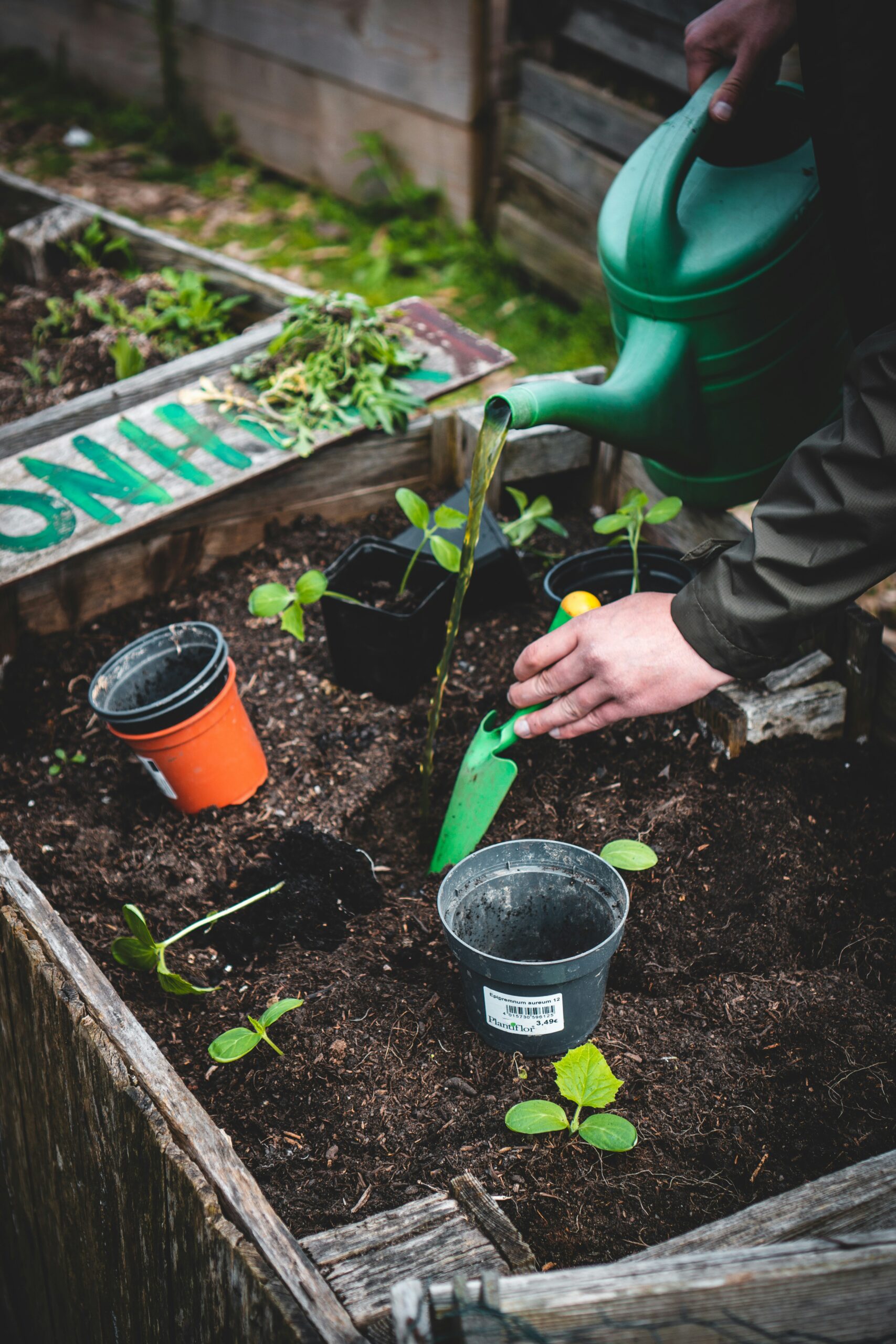 The Green Hands Workshop