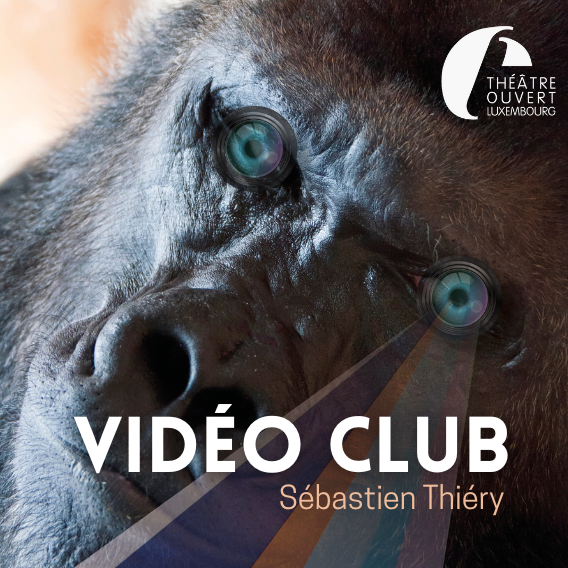Vidéo Club de Sébastien Thiéry