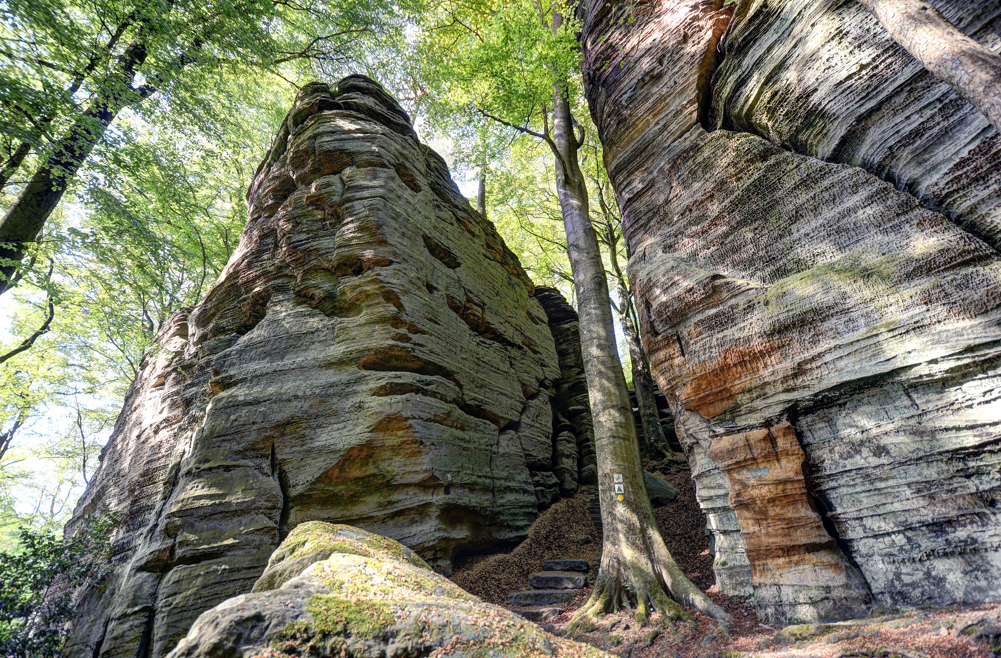 The Mëllerdall UNESCO Global Geopark - Insights into a Fascinating Landscape