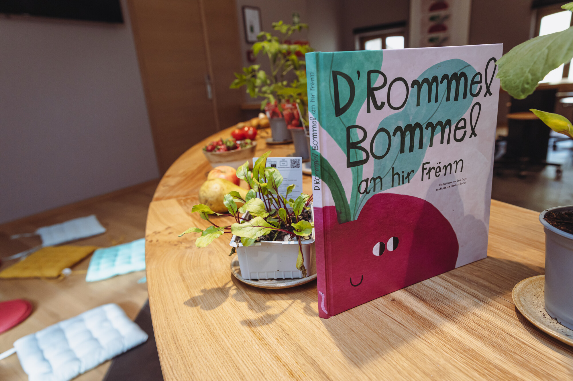 “D'Rommel Bommel an hir Frënn” – Reading & Workshop