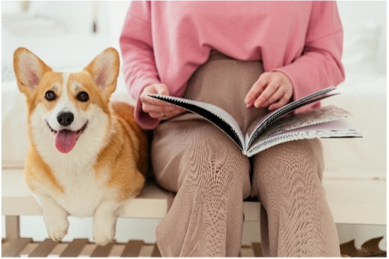 Reading with a dog