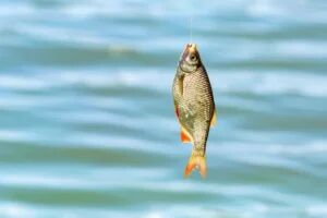Discovery & Initiation Day to White Fishing - Habay Tourism Office
