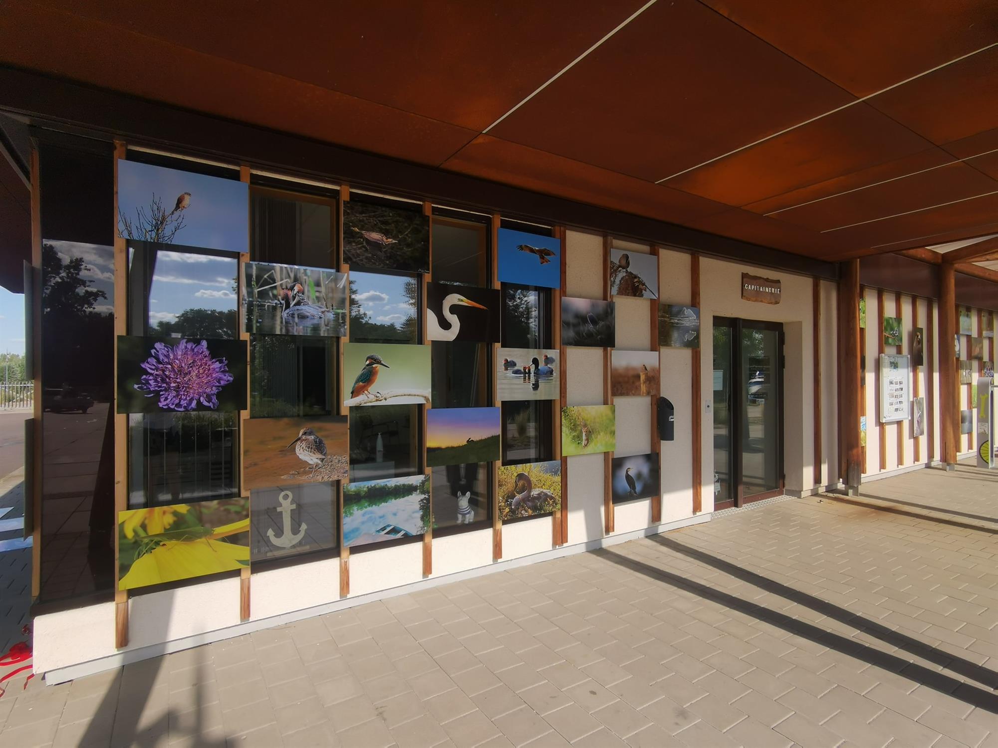 Exposition photos nature