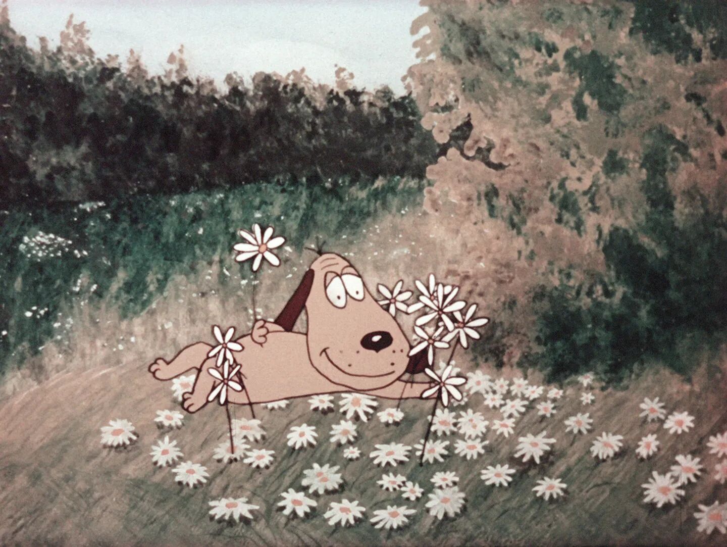 Kids' Show