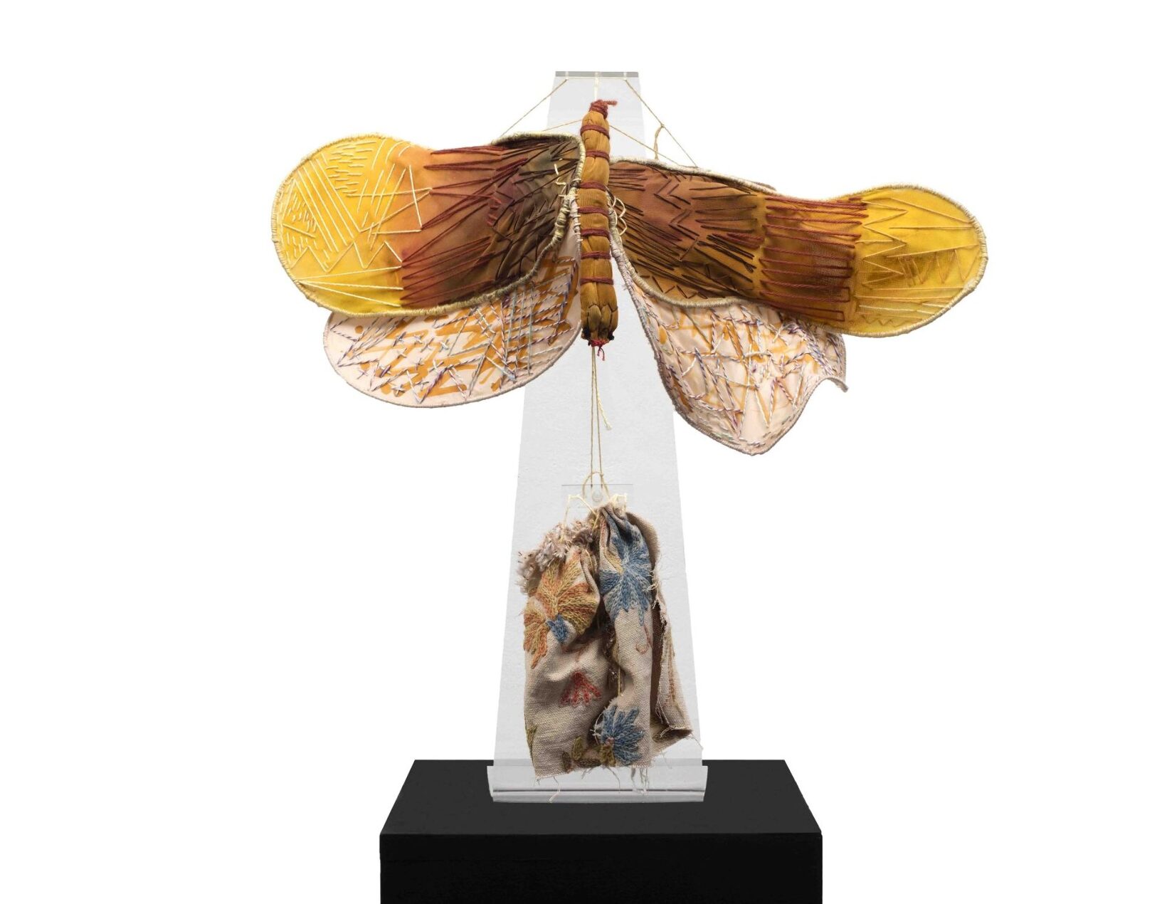 Exhibition - Clemen Parrocchetti : Devour Life