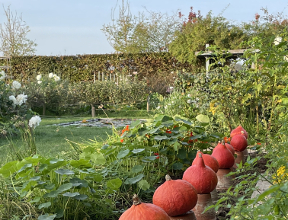 Stage - Jardin durable