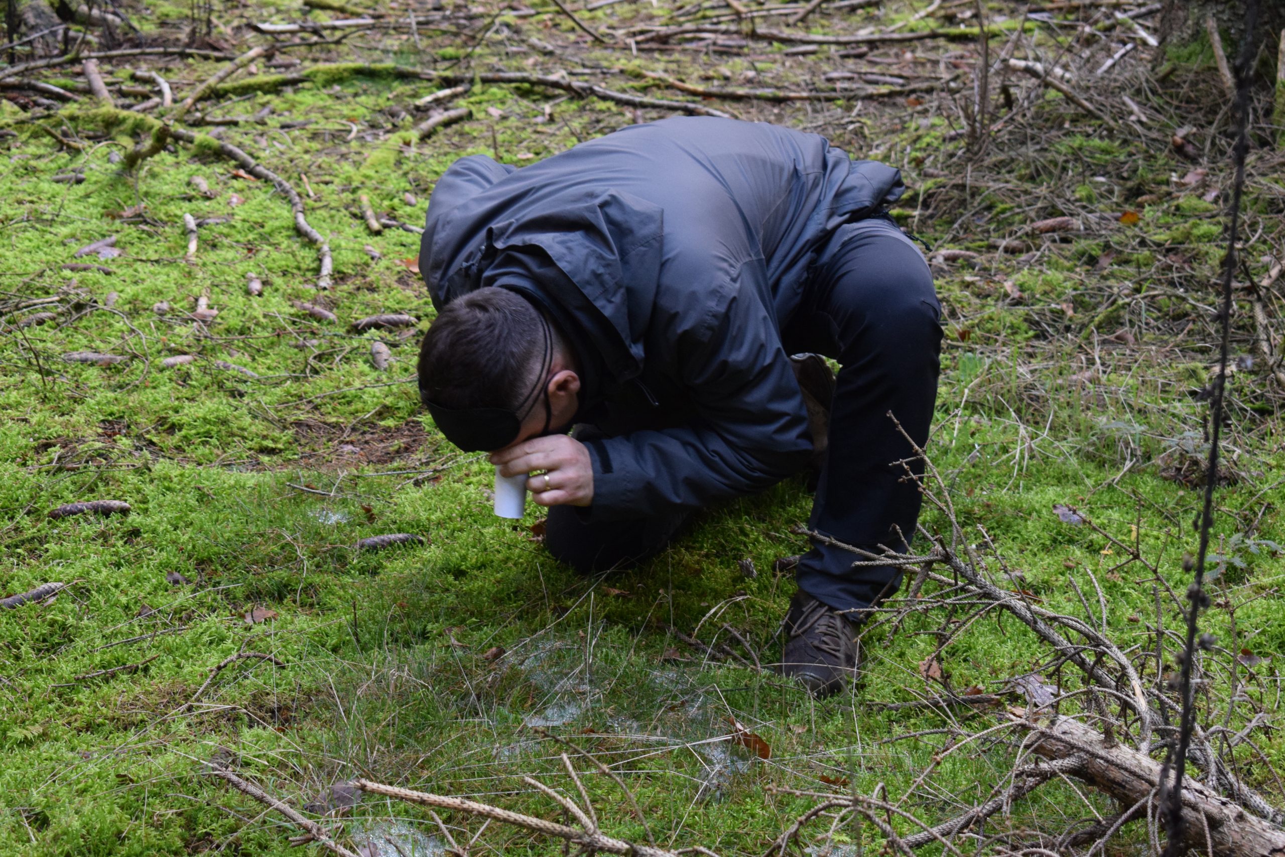 Sensory Adventures – Discover the Forest with the Five Senses
