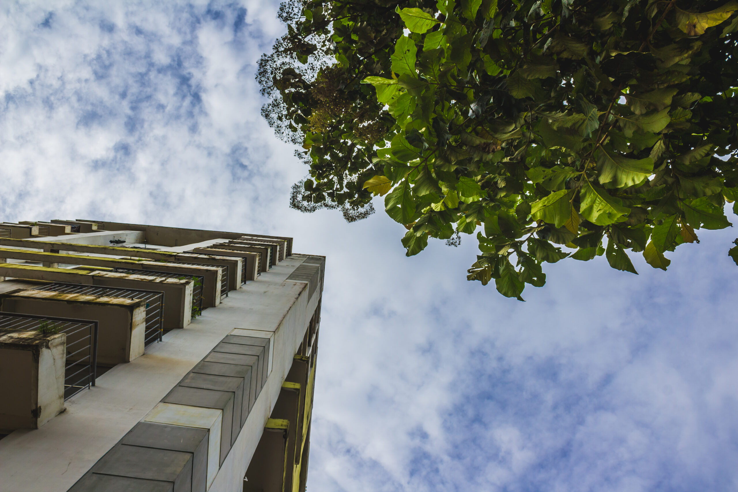 Urban Nature – Pedagogical Approaches for Nature Education in Urban Natural Areas