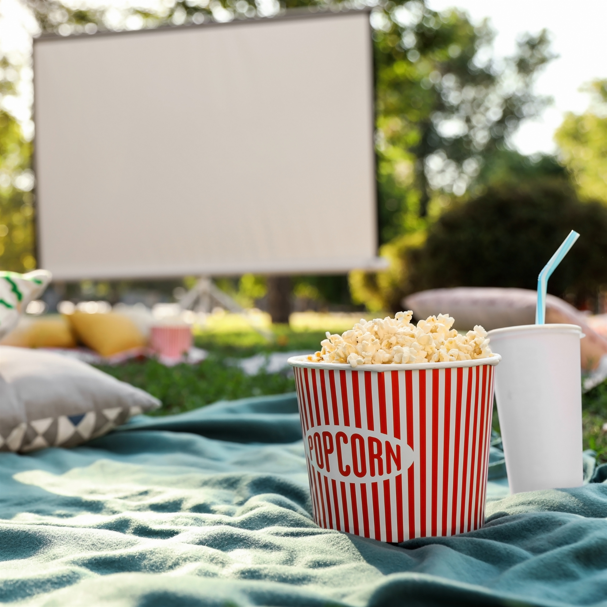 Soirée ciné en plein air à Bouzonville