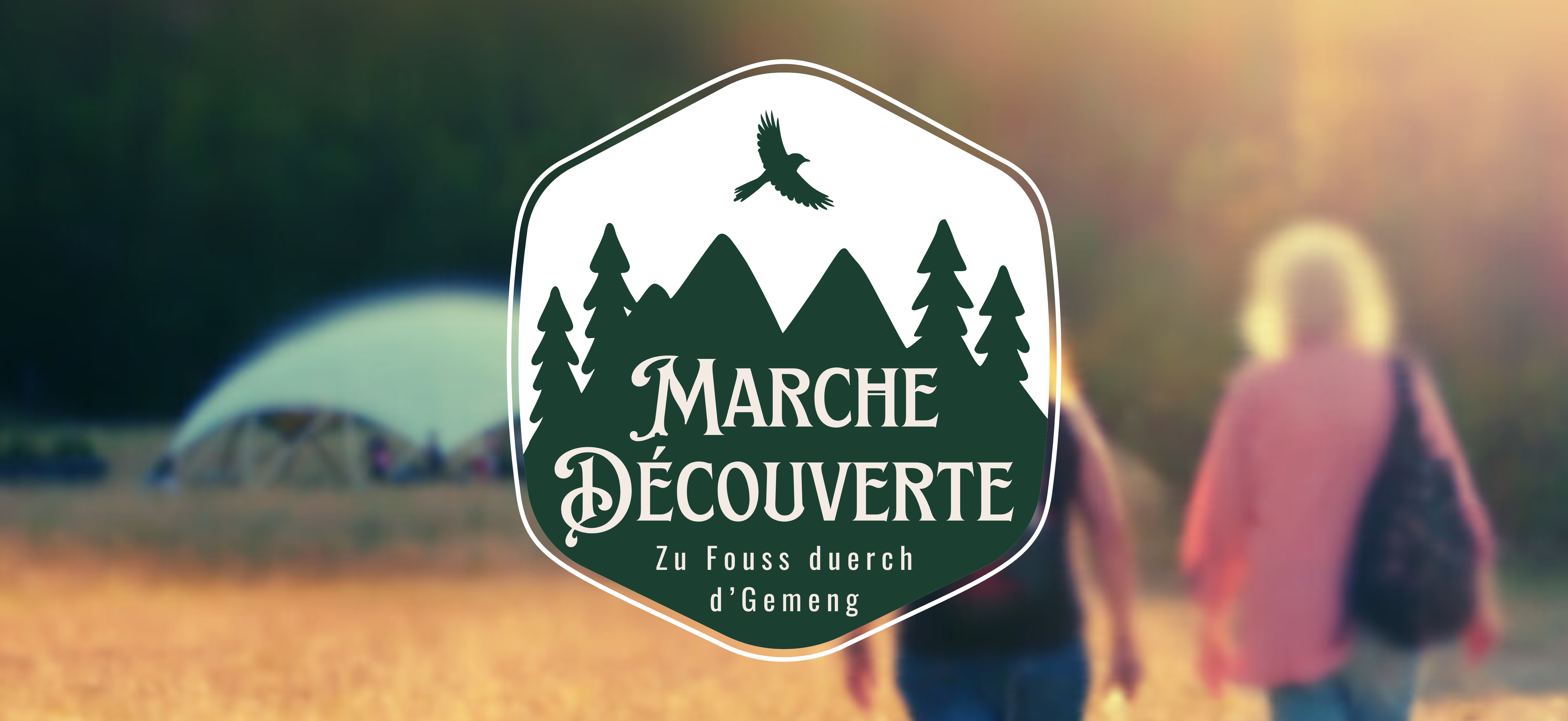 Discovery Walk 2025