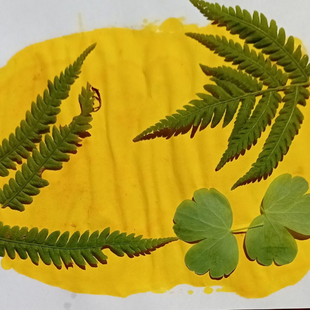 Atelier scientifique pour enfants/familles