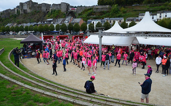 Bouillon Rose