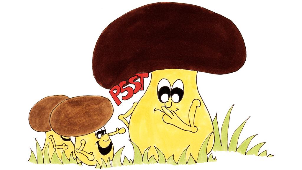Mushroom Hunting 6-10 years old