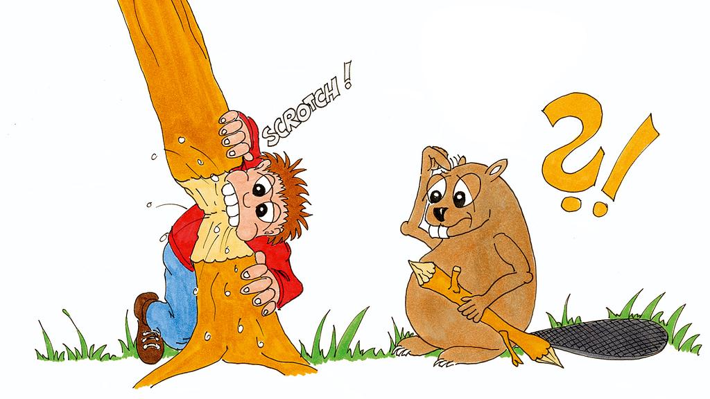 Beaver Safari ages 6-10